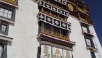 DSC01602 1