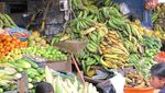 Peru2009786
