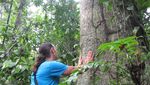Peru2009741