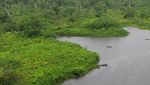 Peru2009620