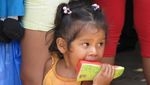 Peru2009802