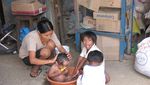 Peru2009806